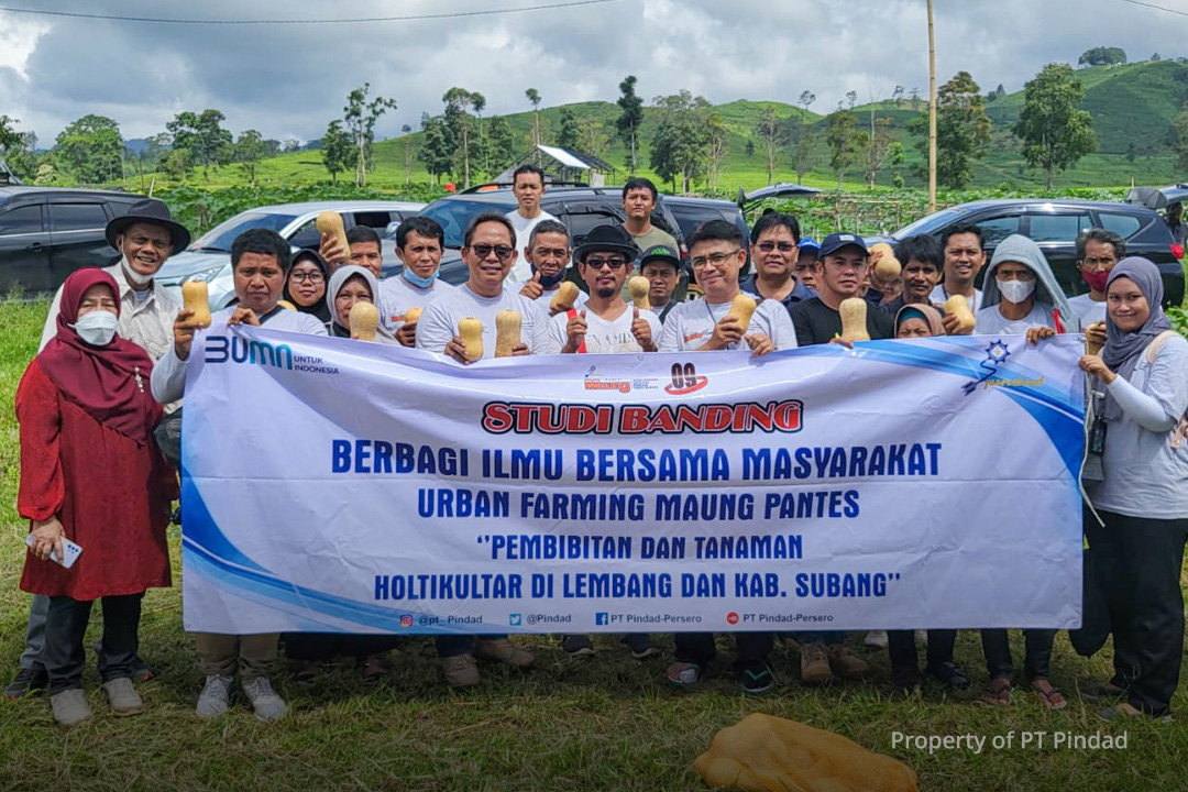 Program Belajar Bersama, PT Pindad Ajak Perwakilan Kelompok Urban Farming 