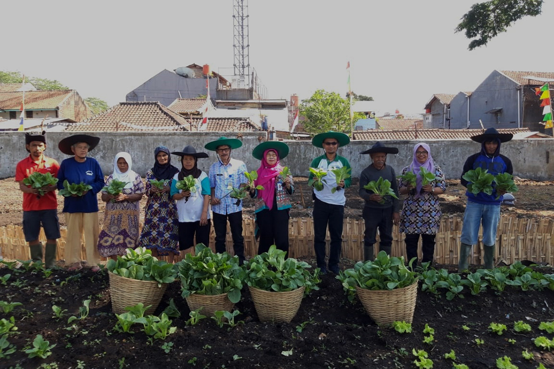 PKBL Pindad Ajak Warga Panen Sayuran Organik