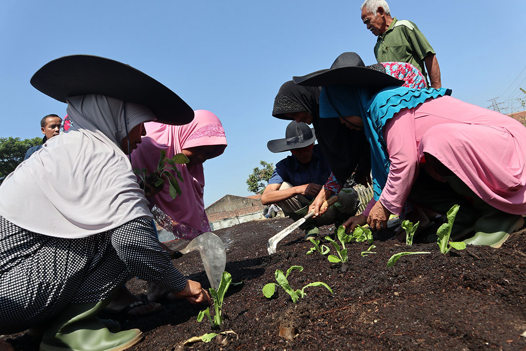 Pindad Bersama Warga Manfaatkan Lahan TPST Pindad untuk Urban Farming 